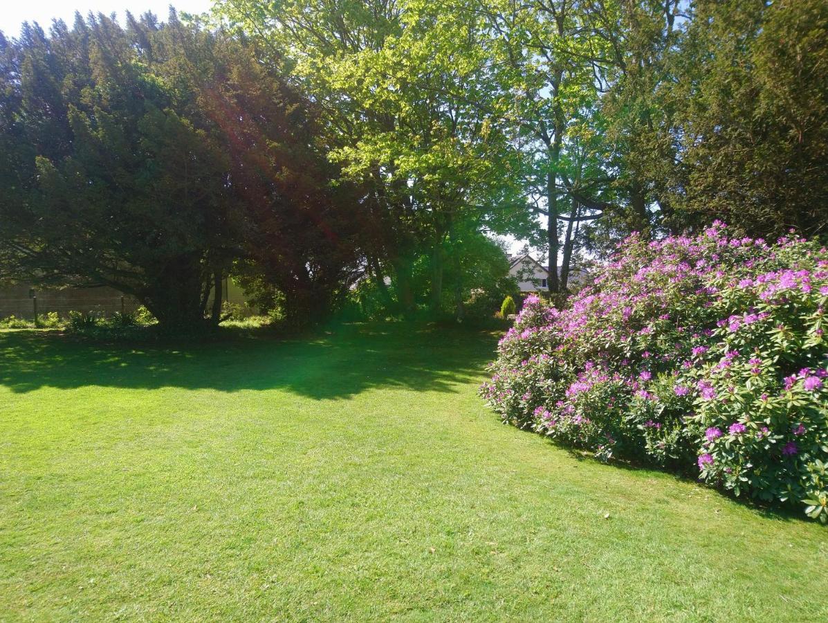 La Nouvelle Criqueboise Bed & Breakfast Criquebeuf-en-Caux Dış mekan fotoğraf