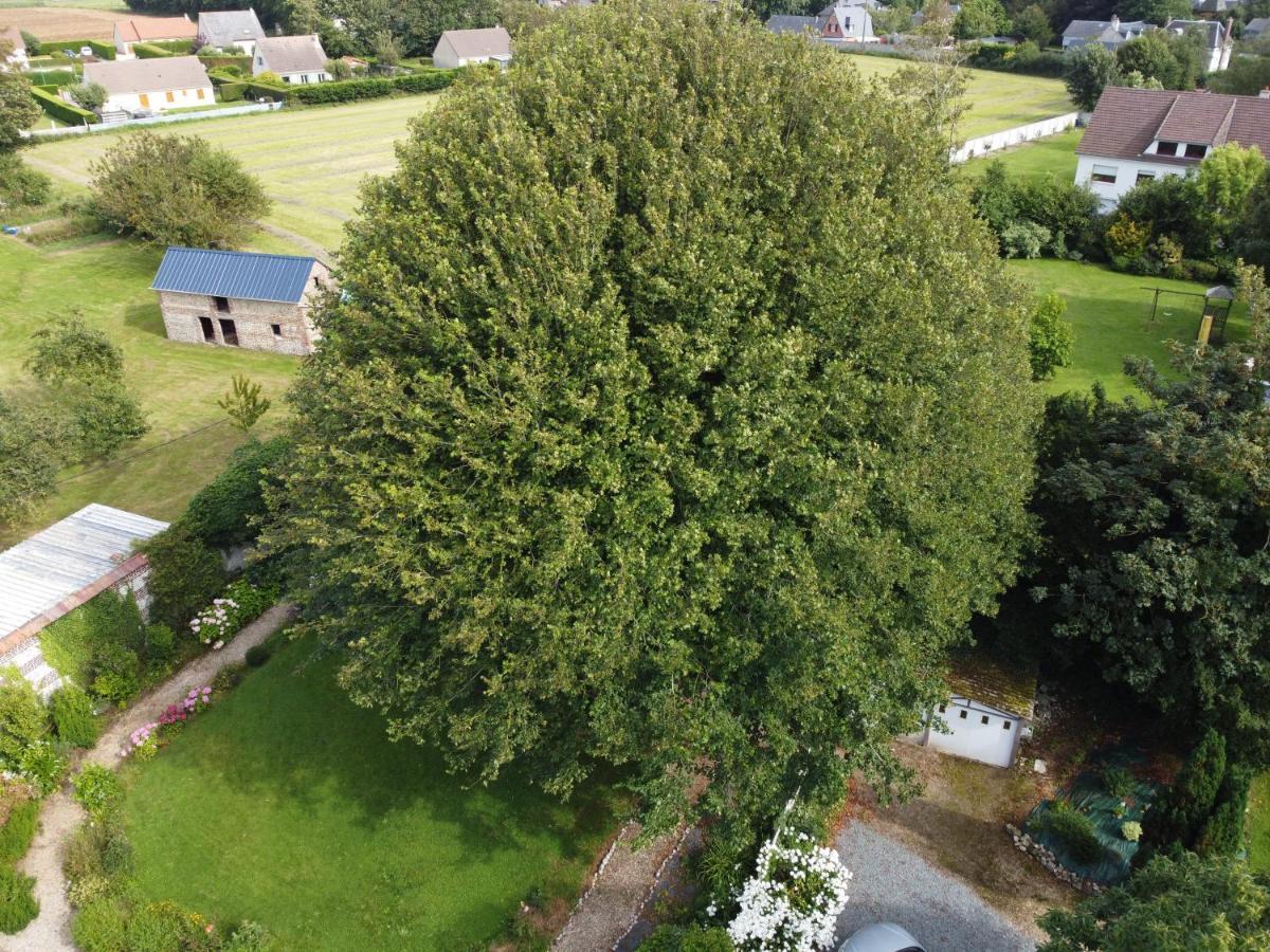 La Nouvelle Criqueboise Bed & Breakfast Criquebeuf-en-Caux Dış mekan fotoğraf